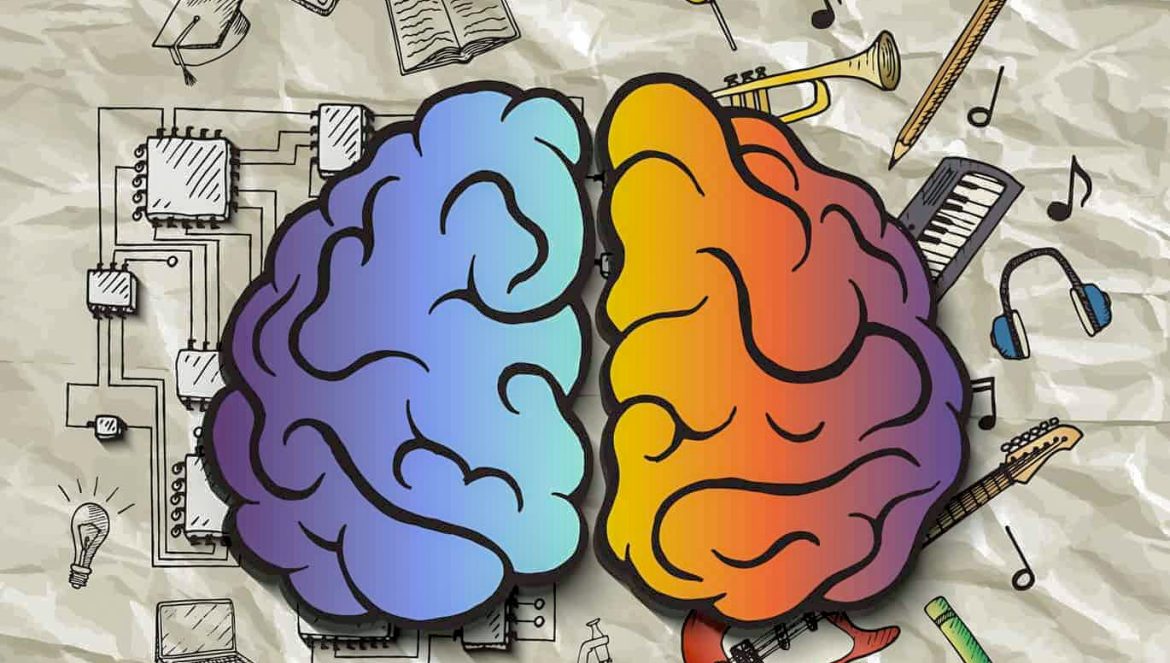 Howard Gardner Çoklu Zeka Kuramı ve 7 Zeka Türleri