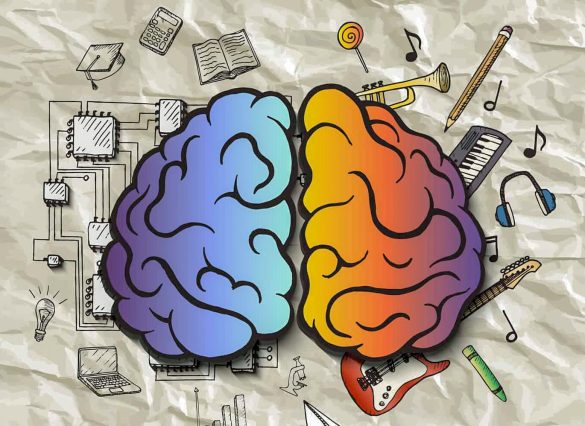 Howard Gardner Çoklu Zeka Kuramı ve 7 Zeka Türleri