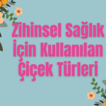 Zihinsel Sağlık İçin 10 Çiçek Türü